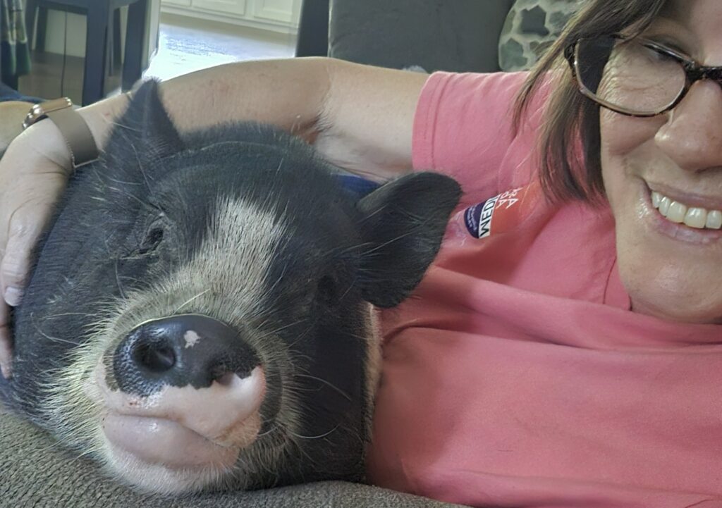 Michelle Ryan with Ivy the therapy pig, Team Ryan Agency Medicare and health insurance advisor in Southeast Georgia
